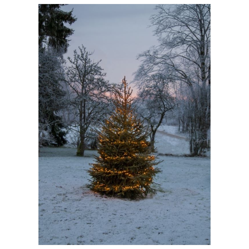 Eglo - LED božićni lanac za spoljašnju upotrebu 1200xLED 29m IP44 toplo belo