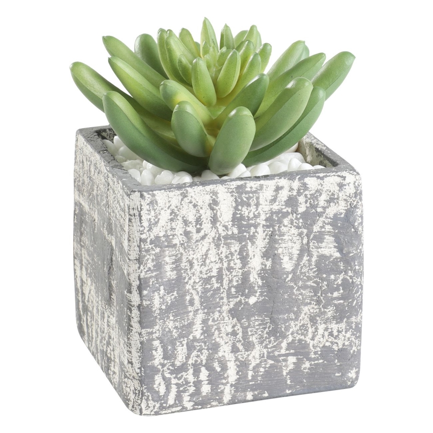 Eglo - Veštačka biljka u tegli za cveće 12x7,5 cm sukulent