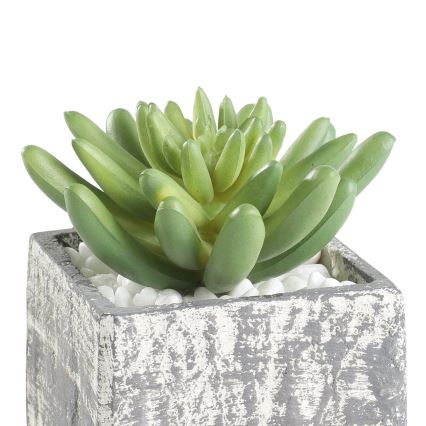 Eglo - Veštačka biljka u tegli za cveće 12x7,5 cm sukulent