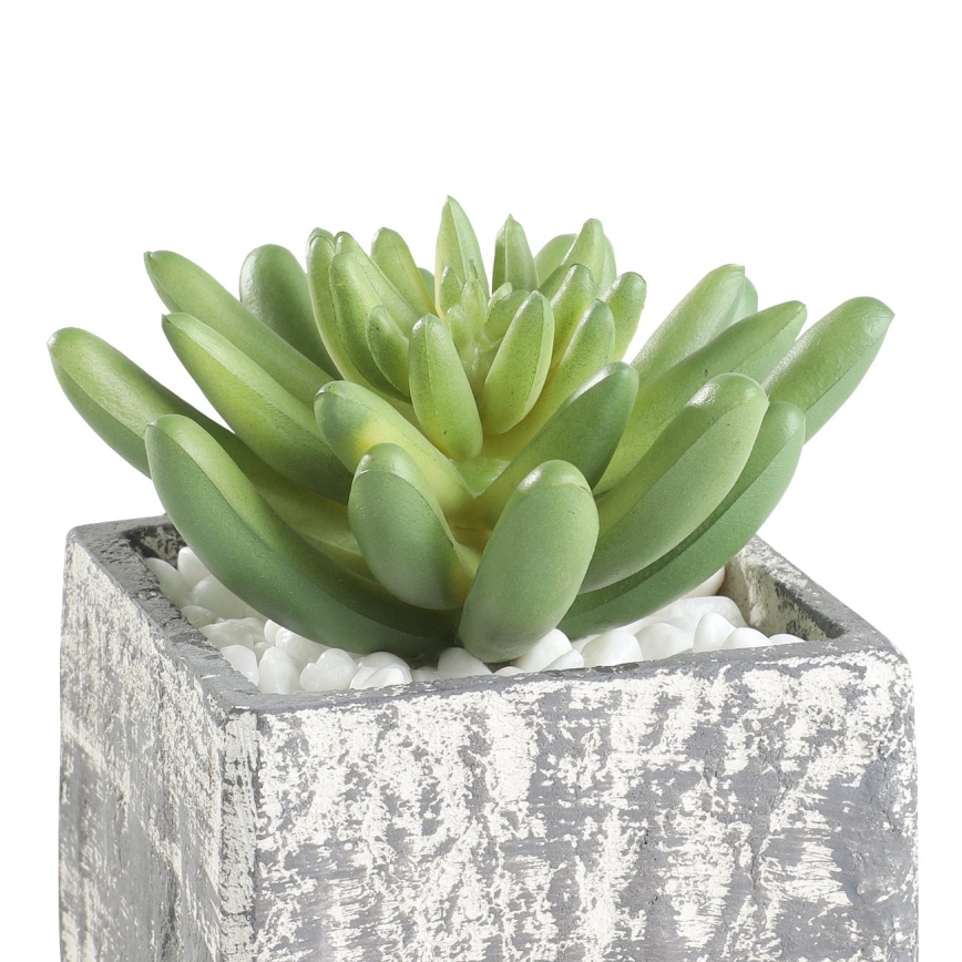 Eglo - Veštačka biljka u tegli za cveće 12x7,5 cm sukulent