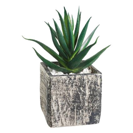 Eglo - Veštačka biljka u tegli za cveće 13x9,5 cm sukulent