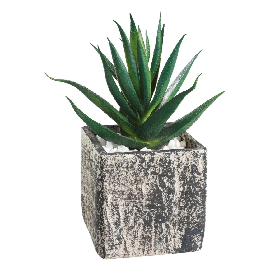 Eglo - Veštačka biljka u tegli za cveće 13x9,5 cm sukulent