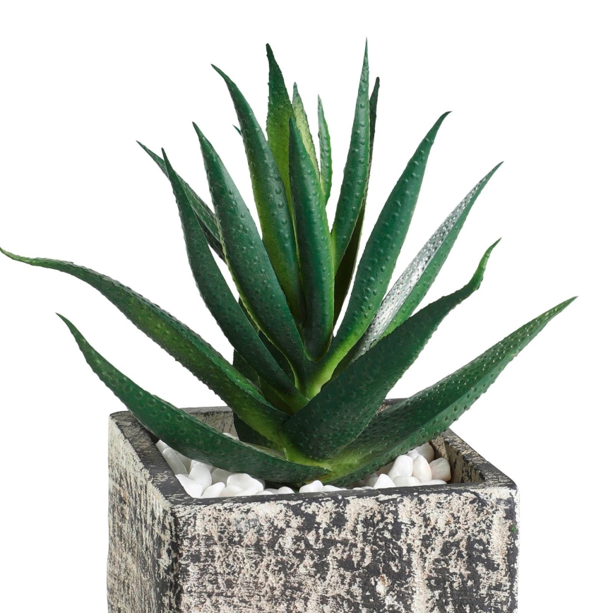 Eglo - Veštačka biljka u tegli za cveće 13x9,5 cm sukulent