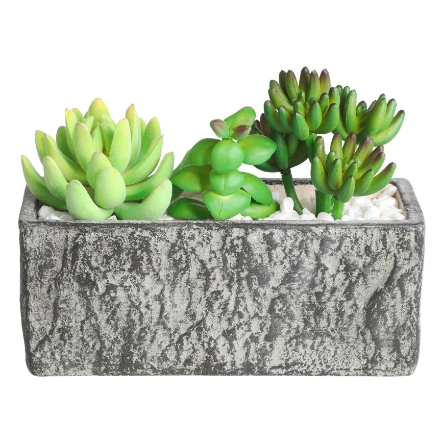 Eglo - Veštačka biljka u tegli za cveće 14,5x17,8 cm sukulent