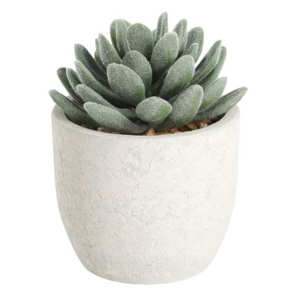 Eglo - Veštačka biljka u tegli za cveće 11x8 cm sukulent