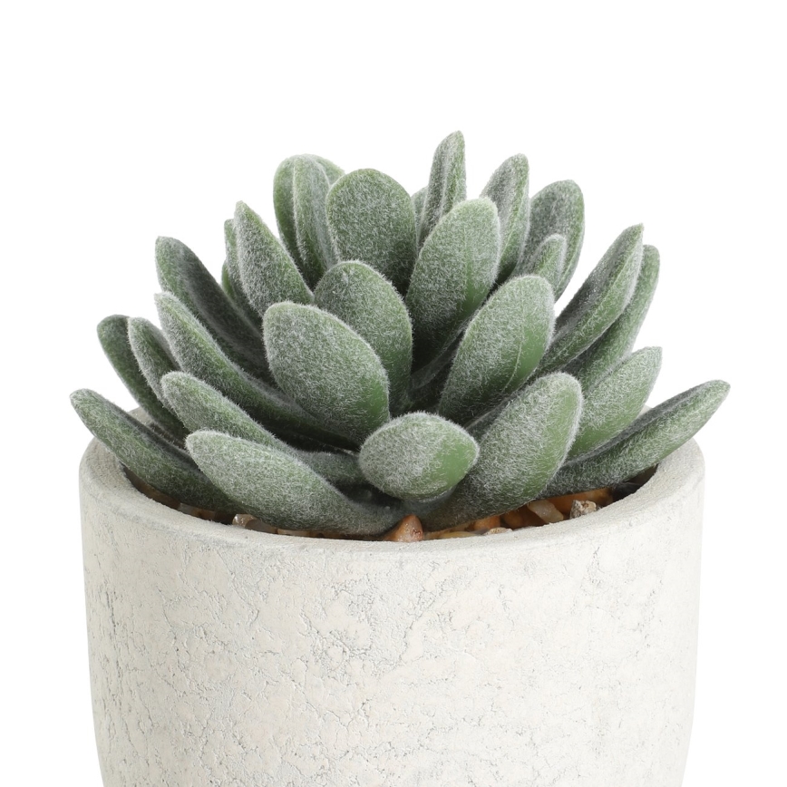 Eglo - Veštačka biljka u tegli za cveće 11x8 cm sukulent