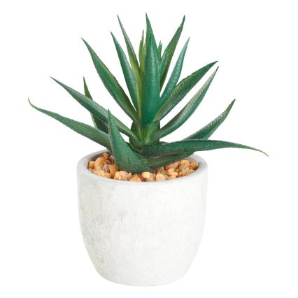 Eglo - Veštačka biljka u tegli za cveće 15,5x10 cm sukulent