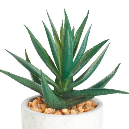 Eglo - Veštačka biljka u tegli za cveće 15,5x10 cm sukulent
