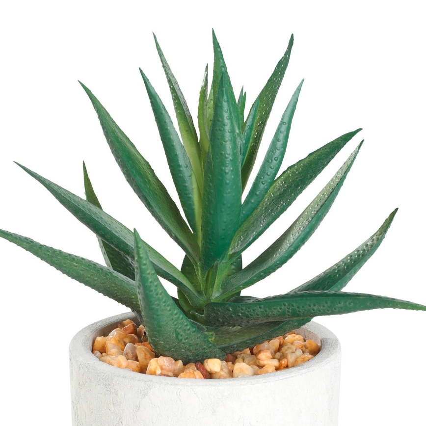 Eglo - Veštačka biljka u tegli za cveće 15,5x10 cm sukulent