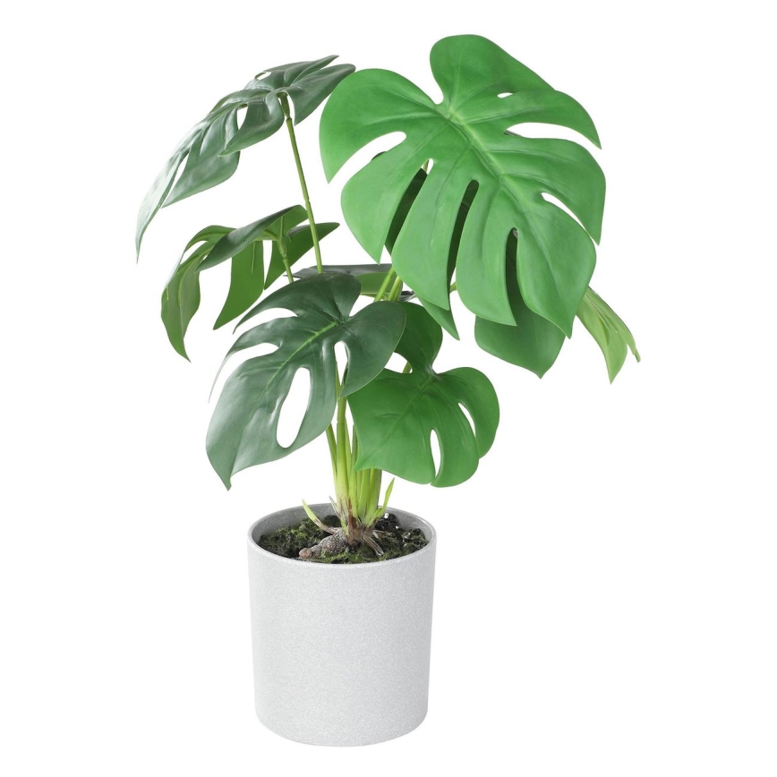Eglo - Veštačka biljka u tegli za cveće 42x30 cm monstera