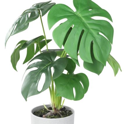 Eglo - Veštačka biljka u tegli za cveće 42x30 cm monstera