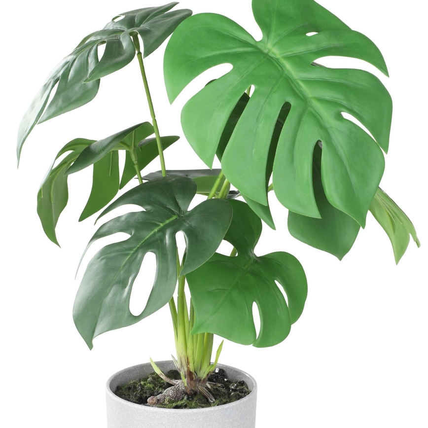 Eglo - Veštačka biljka u tegli za cveće 42x30 cm monstera