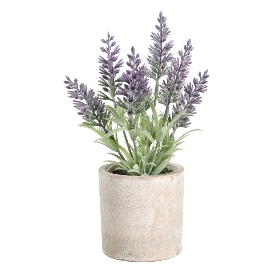 Eglo - Veštačka biljka u tegli za cveće 22x8 cm lavanda