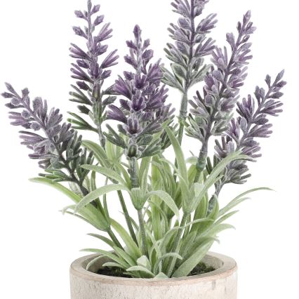Eglo - Veštačka biljka u tegli za cveće 22x8 cm lavanda