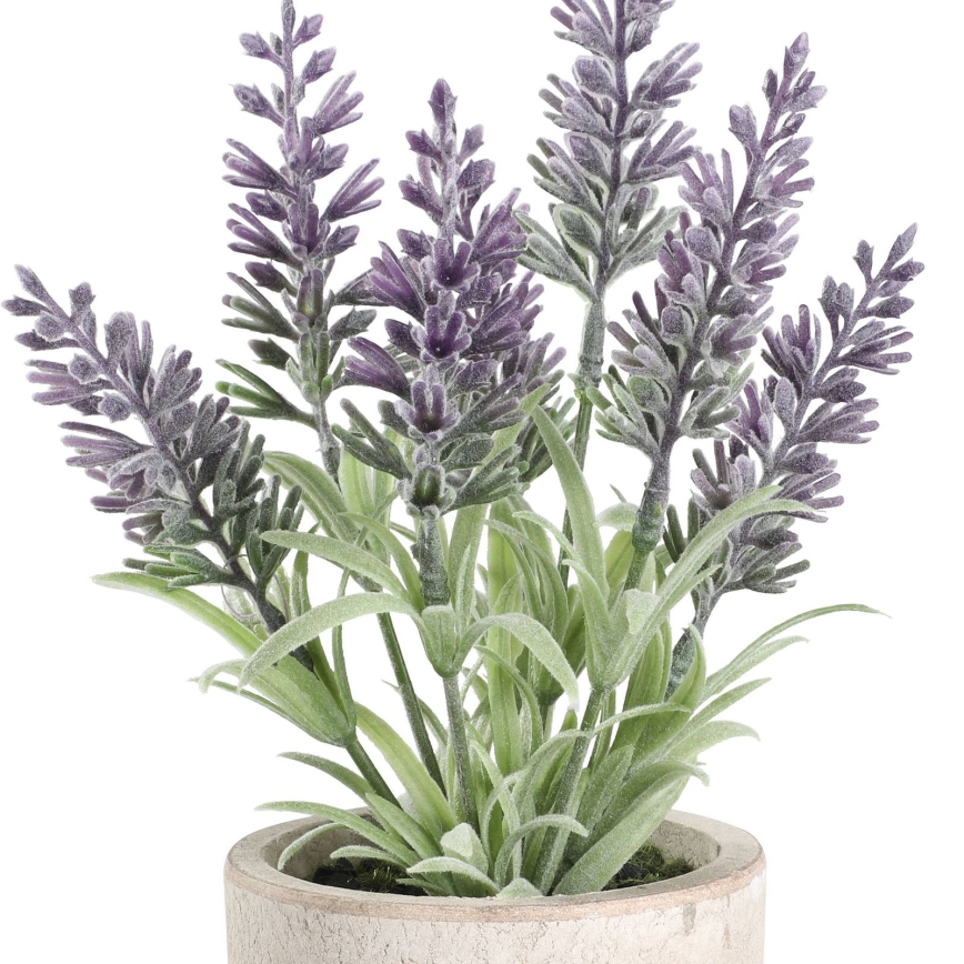Eglo - Veštačka biljka u tegli za cveće 22x8 cm lavanda