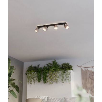 Eglo - Reflektorska lampa 4xE14/40W/230V crno/bež