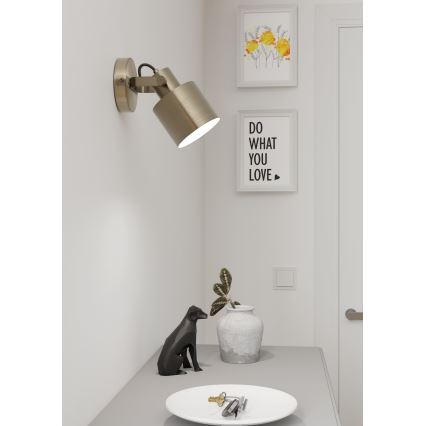 Eglo - Zidna reflektorska lampa 1xE27/40W/230V