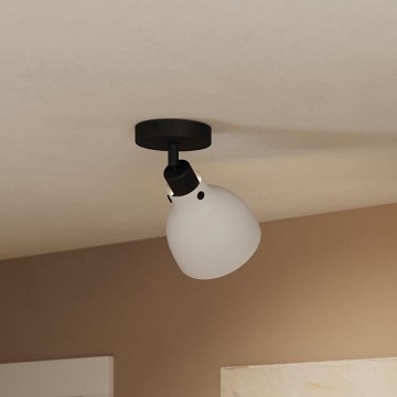 Eglo 43827 - Reflektorska lampa MATLOCK 1xE27/40W/230V