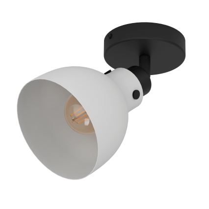 Eglo 43827 - Reflektorska lampa MATLOCK 1xE27/40W/230V
