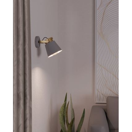 Eglo - Zidna reflektorska lampa 1xE27/28W/230V