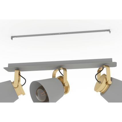 Eglo - Reflektorska lampa 3xE27/40W/230V