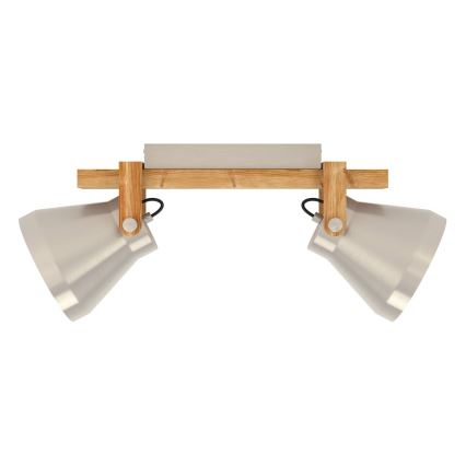 Eglo - Reflektorska svetiljka 2xE27/40W/230V