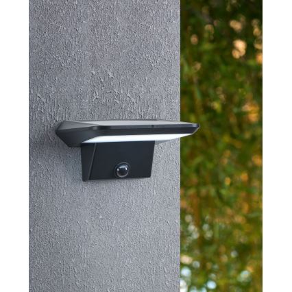 Eglo - LED Solarna zidna lampa sa senzorom LED/20W/3,7V IP44