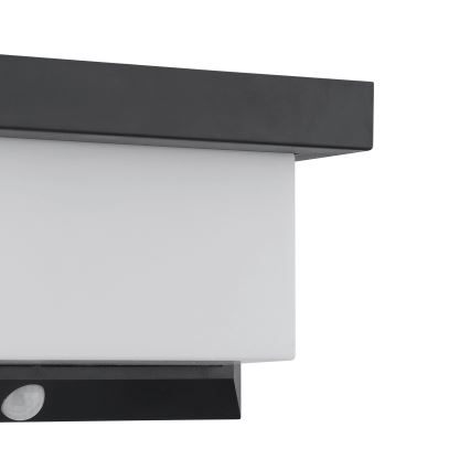 Eglo - LED Solarna zidna lampa sa senzorom LED/3,84W/3,7V IP44