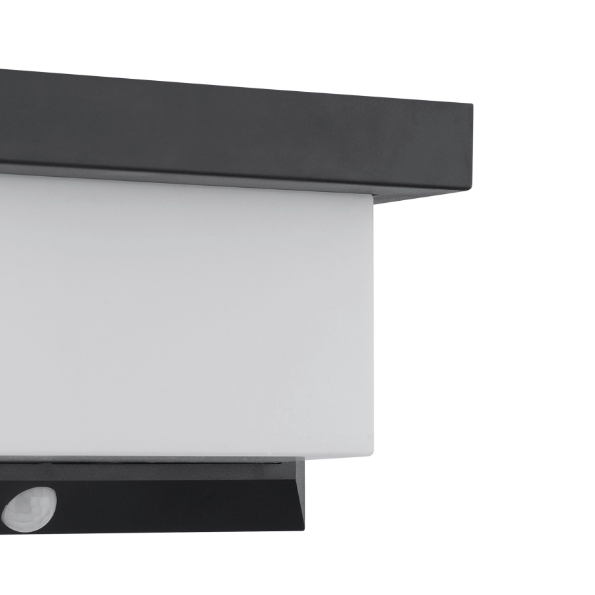 Eglo - LED Solarna zidna lampa sa senzorom LED/3,84W/3,7V IP44