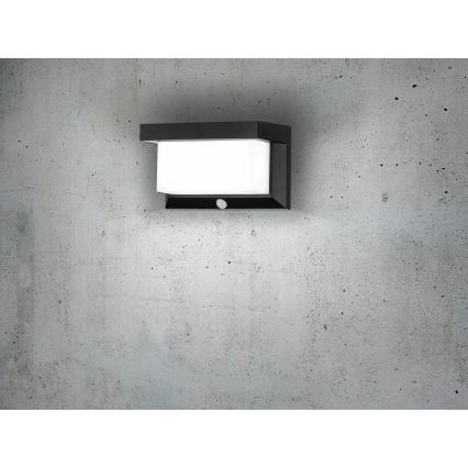 Eglo - LED Solarna zidna lampa sa senzorom LED/3,84W/3,7V IP44