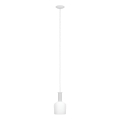 Eglo 62265 - Luster na sajli PASCOA PRO 1xE27/60W/230V 15,6 cm bela