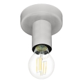 Eglo 64106 - Plafonjera IGUALA 1xE27/40W/230V sivo