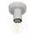 Eglo 64106 - Plafonjera IGUALA 1xE27/40W/230V sivo