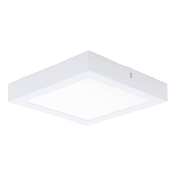 Eglo 64717 - LED Plafonjera FUEVA PRO LED/19W/230V 3000K 22,5x22,5 cm bela