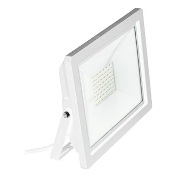 Eglo 64843 - LED Reflektor FILETTI LED/50W/230V 3000K IP65 bela