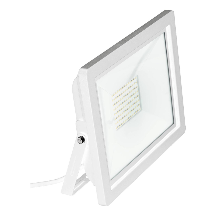 Eglo 64843 - LED Reflektor FILETTI LED/50W/230V 3000K IP65 bela
