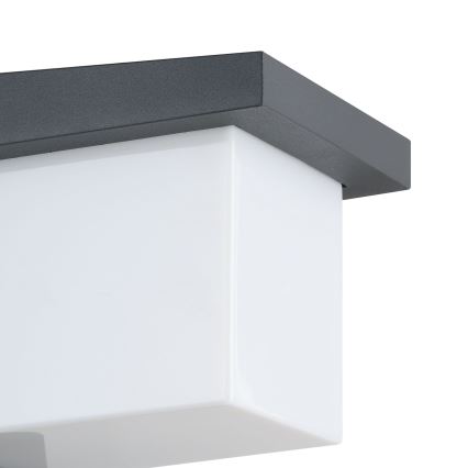 Eglo 65046 - LED Spoljna zidna lampa DESELLA PRO LED/10W/230V IP54 antracit