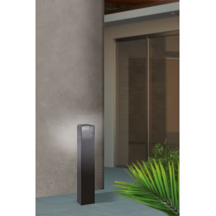 Eglo 65082 - LED Spoljna lampa DONINNI PRO LED/5W/230V 3000K 40 cm IP44 antracit
