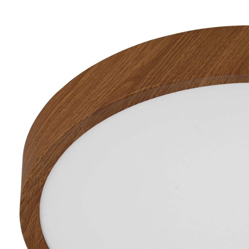 Eglo - LED Plafonjera LED/14,6W/230V