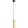 Eglo 79342 - Luster na sajli PINTO GOLD 1xE27/40W/230V zlatna