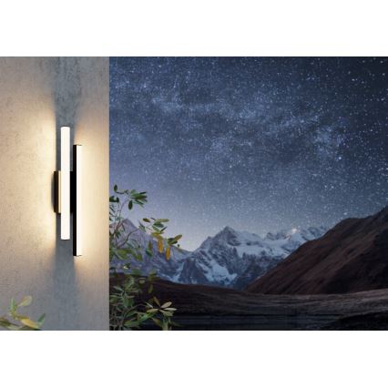 Eglo - LED Spoljna zidna lampa 2xLED/4,2W/230V IP55
