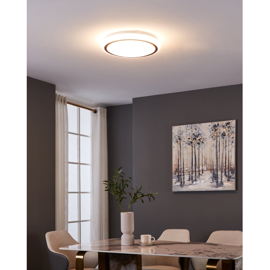 Eglo - LED Plafonjera LED/14,6W/230V
