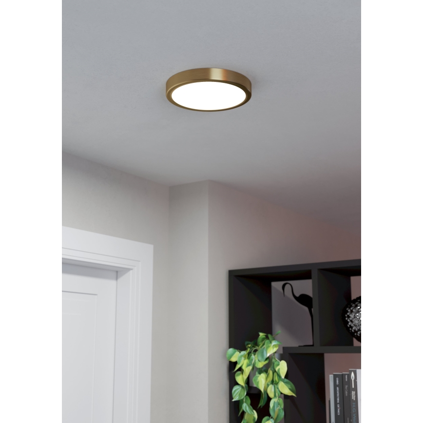 Eglo - LED Plafonjera LED/17W/230V pr. 21 cm