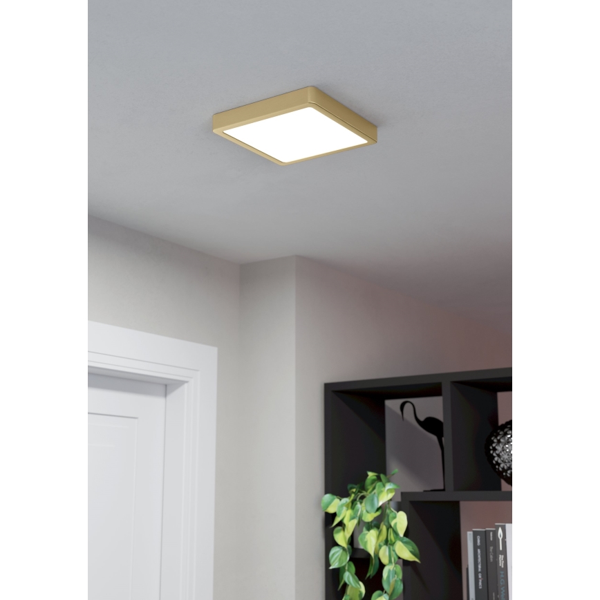 Eglo - LED Plafonjera LED/17W/230V