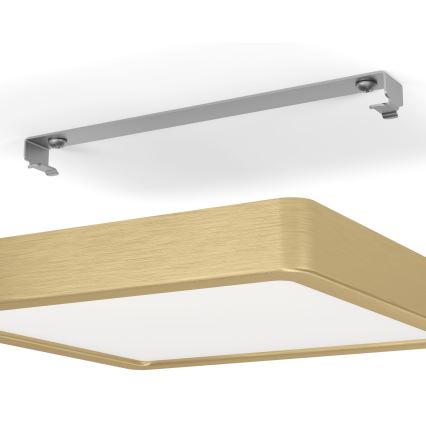 Eglo - LED Plafonjera LED/17W/230V
