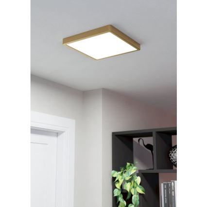 Eglo - LED Plafonjera LED/20,5W/230V