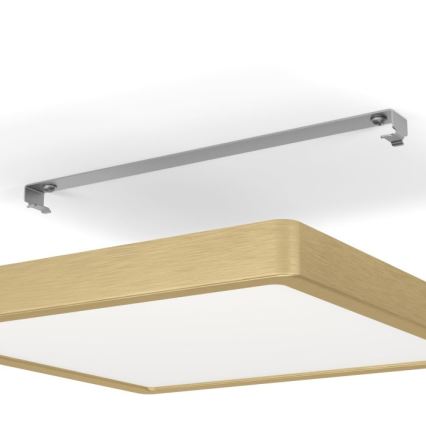 Eglo - LED Plafonjera LED/20,5W/230V