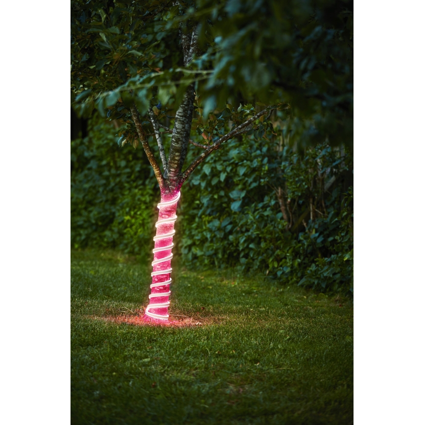 Eglo - LED traka 96W/24V, 5 m, IP44, ružičasta