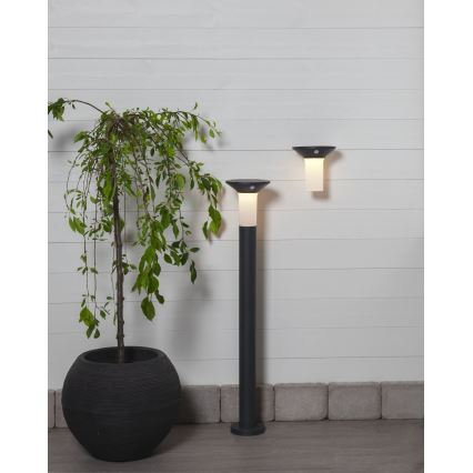 Eglo - LED Spoljašnja solarna lampa sa senzorom 6xLED/0,03W/3,7V IP44