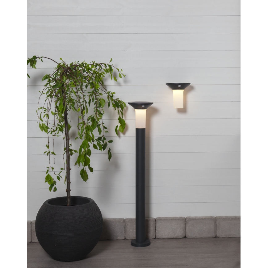 Eglo - LED Spoljašnja solarna lampa sa senzorom 6xLED/0,03W/3,7V IP44
